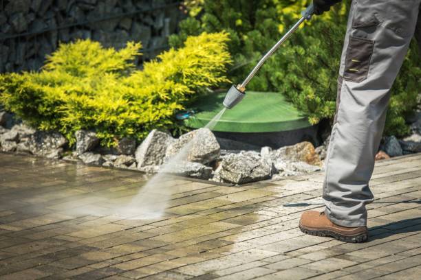 Best Driveway Pressure Washing  in Iselin, NJ