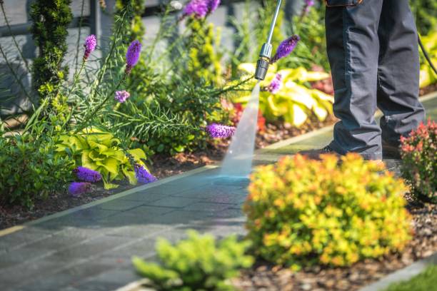 Best Gutter Cleaning  in Iselin, NJ